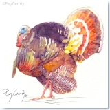 Watercolor of Texas Wild Turkey by Peg Gerrity