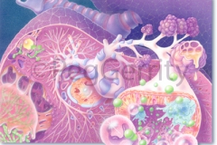 209 Aspergillus - Fungus in Lungs