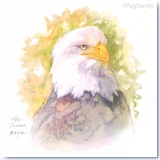 Juneau Eagle Watercolor Gerrity