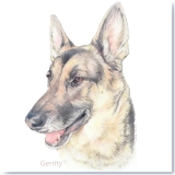 Peg Gerrity Pet Portrait of Zelda for Kyle Haberer