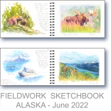 Alaska Research - Watercolor Fieldwork Sketchbook by Gerrity