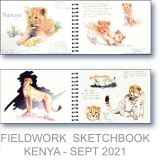 Kenya Research - Watercolor Fieldwork Sketchbook by Gerrity