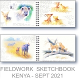 Kenya Research - Watercolor Fieldwork Sketchbook by Gerrity