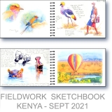 Kenya Research - Watercolor Fieldwork Sketchbook by Gerrity