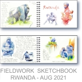 Rwanda Research - Watercolor Fieldwork Sketchbook by Gerrity